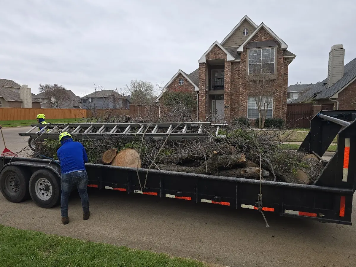 Expert Tree Removal with proper safety equipment in Kemblesville